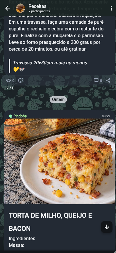 Detalhes da Conversa